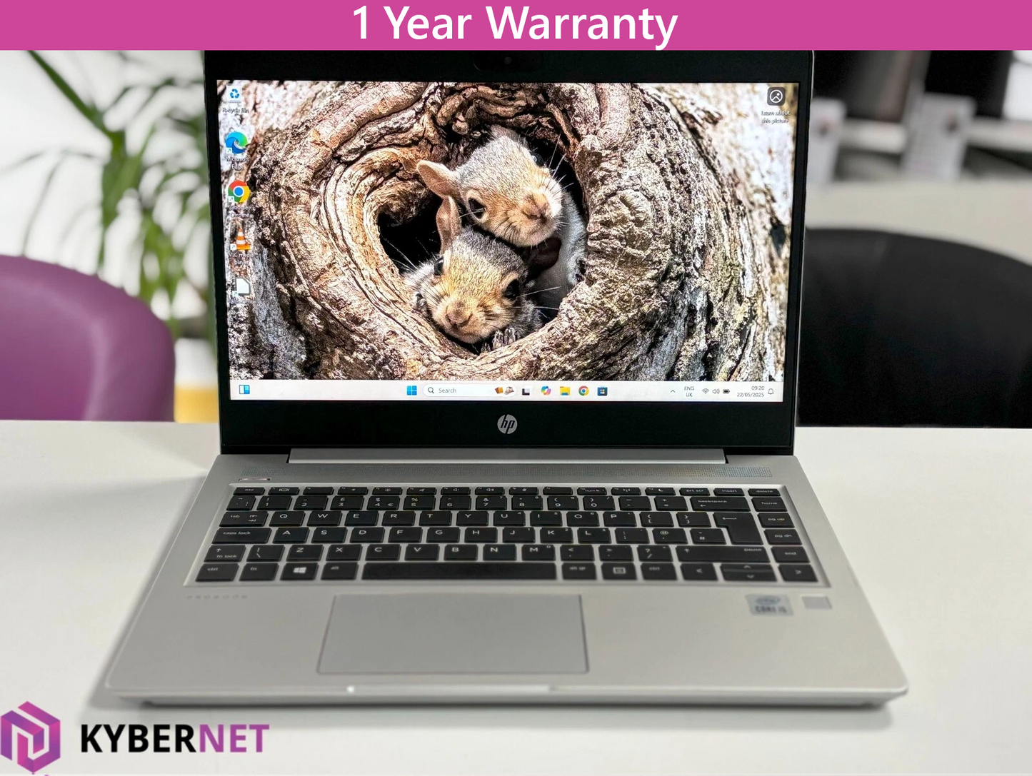 HP ProBook 440 G7 14" FHD Laptop, i5-10210U 1.60GHz, 16GB, 256GB